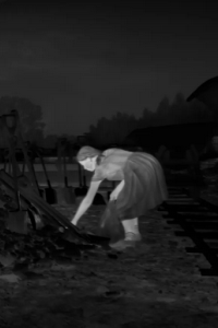 Zone of Interest, The